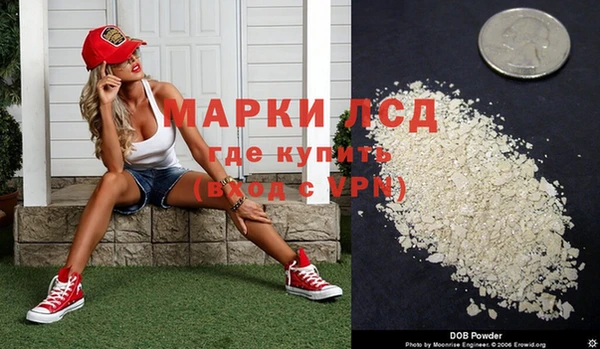 ГАЛЛЮЦИНОГЕННЫЕ ГРИБЫ Белокуриха