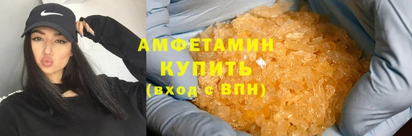 ГАЛЛЮЦИНОГЕННЫЕ ГРИБЫ Белокуриха