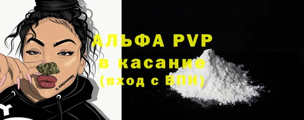 ГАЛЛЮЦИНОГЕННЫЕ ГРИБЫ Белокуриха