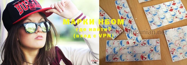 ГАЛЛЮЦИНОГЕННЫЕ ГРИБЫ Белокуриха