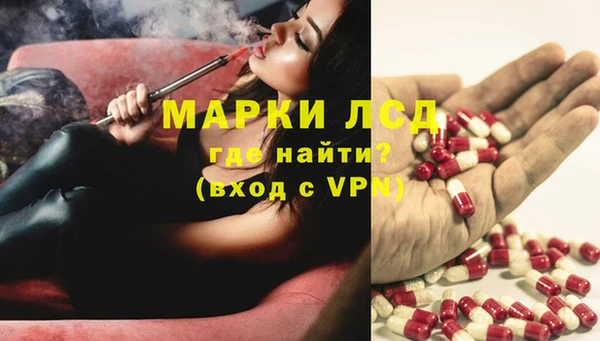 ГАЛЛЮЦИНОГЕННЫЕ ГРИБЫ Белокуриха