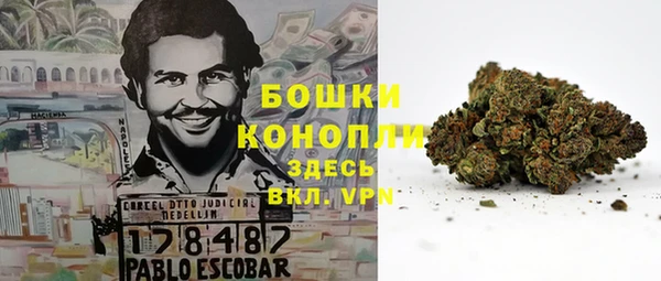 ГАЛЛЮЦИНОГЕННЫЕ ГРИБЫ Белокуриха