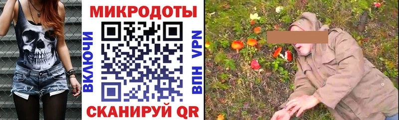 Галлюциногенные грибы Magic Shrooms  закладки  Красный Холм 